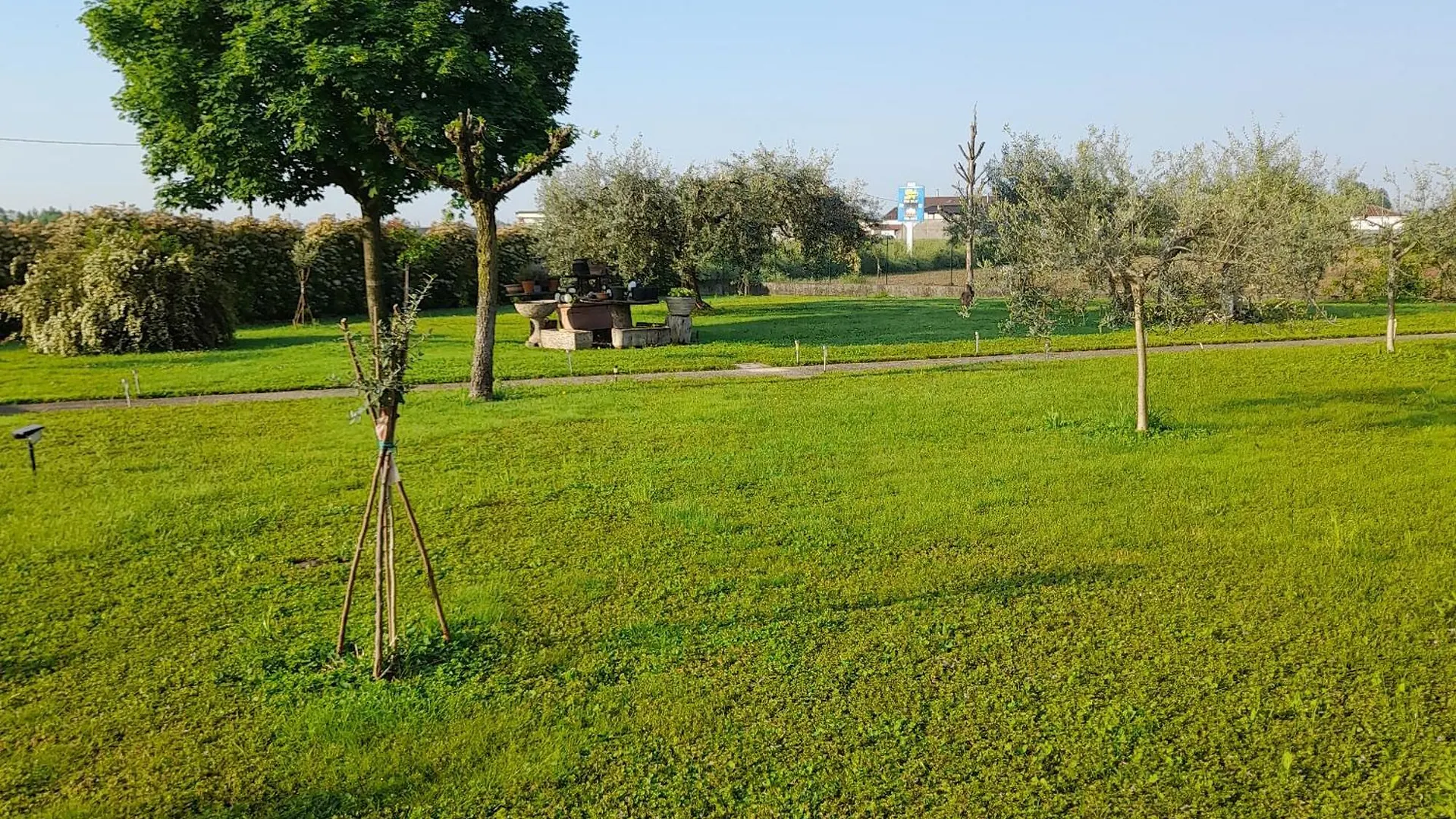 La Casa Dei Nonni Daire Villafranca di Verona